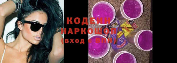 СК Осинники