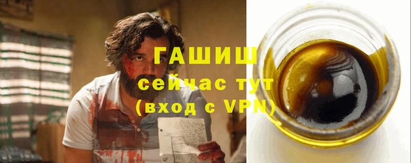 шишки Абаза