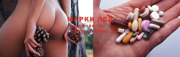СК Осинники