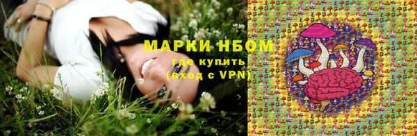 шишки Абаза