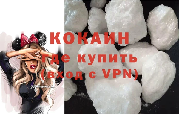 шишки Абаза