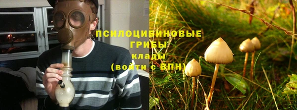 СК Осинники