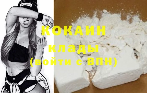 шишки Абаза