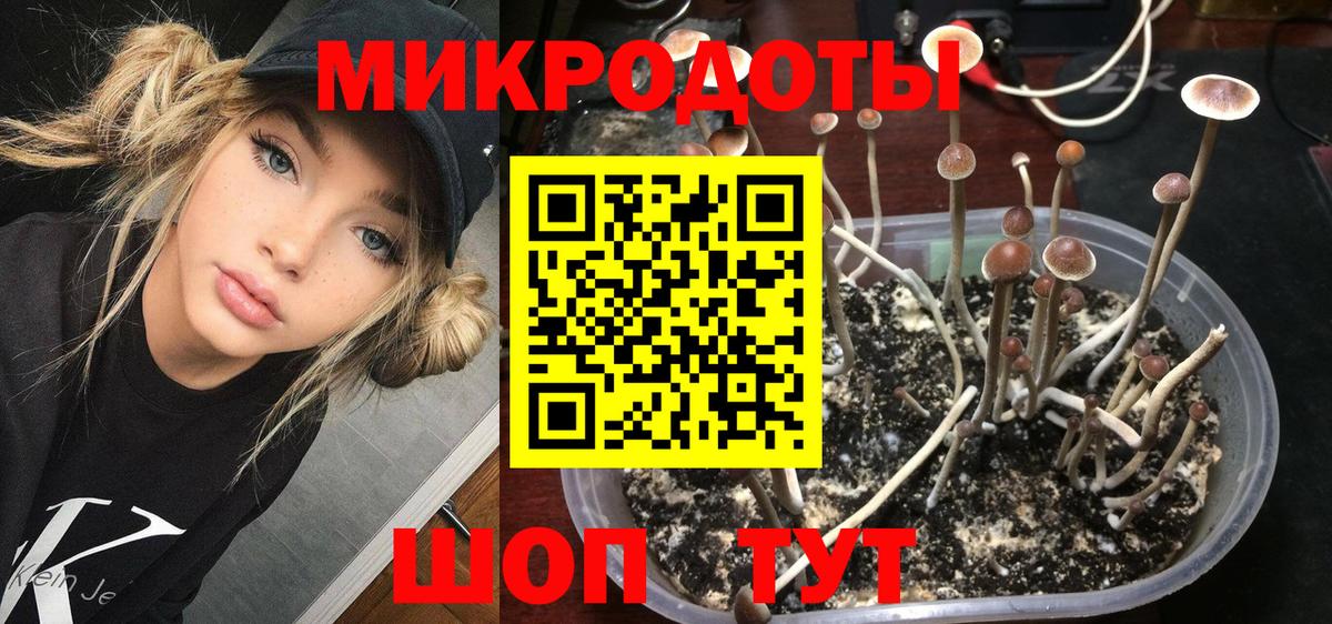 Александров  Галлюциногенные грибы Magic Shrooms  Вход с VPN  Псилоцибиновые грибы мухоморы 